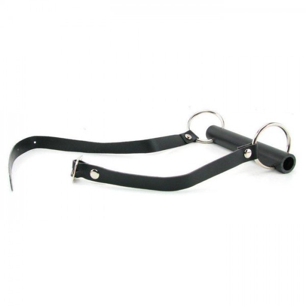 Fetish Fantasy Series Beginner's Bit Gag