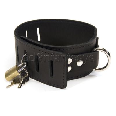 Hasp style collar