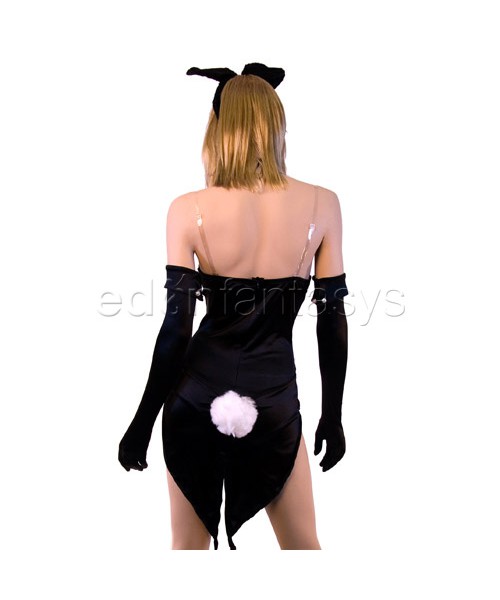 Tuxedo bunny costume