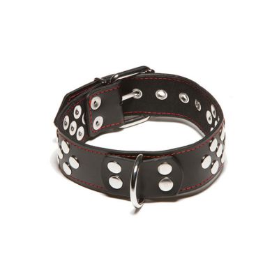 Xplay by Allure Riveted Collar with D Ring