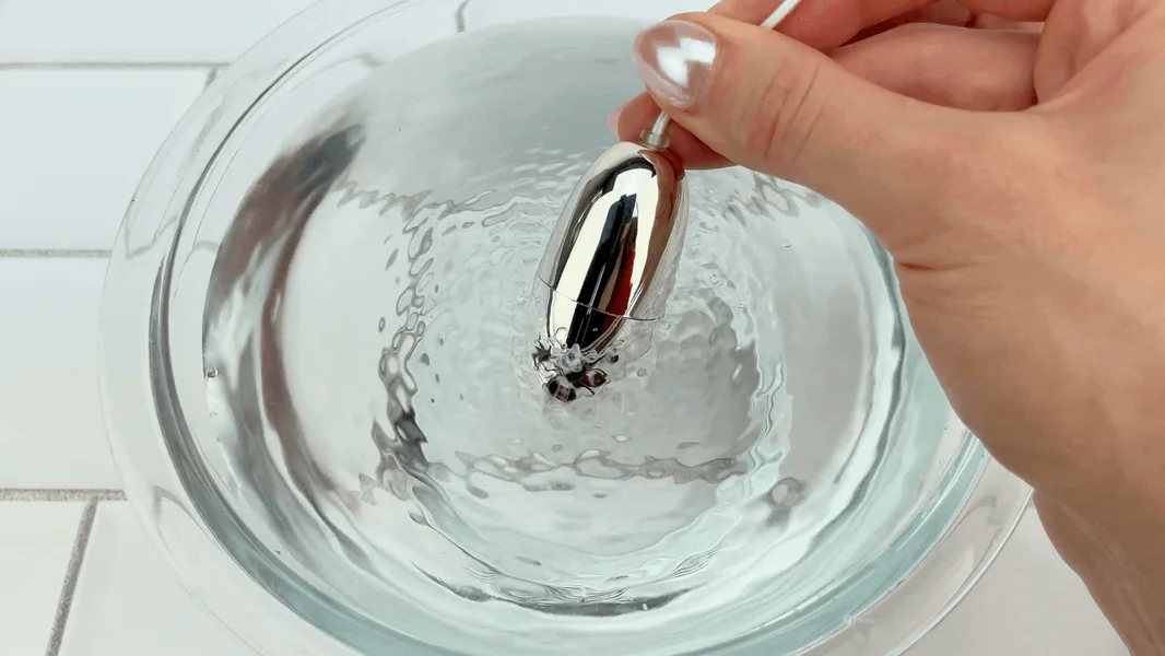 Clara's Silver Egg — image 17 of 24