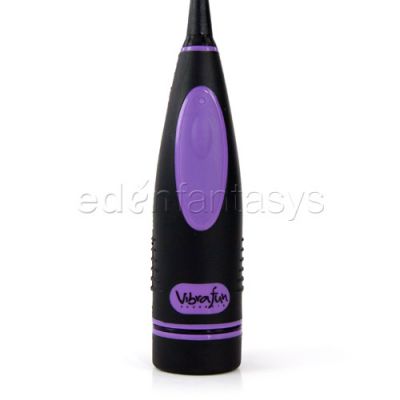 Vibrafun dressage whip