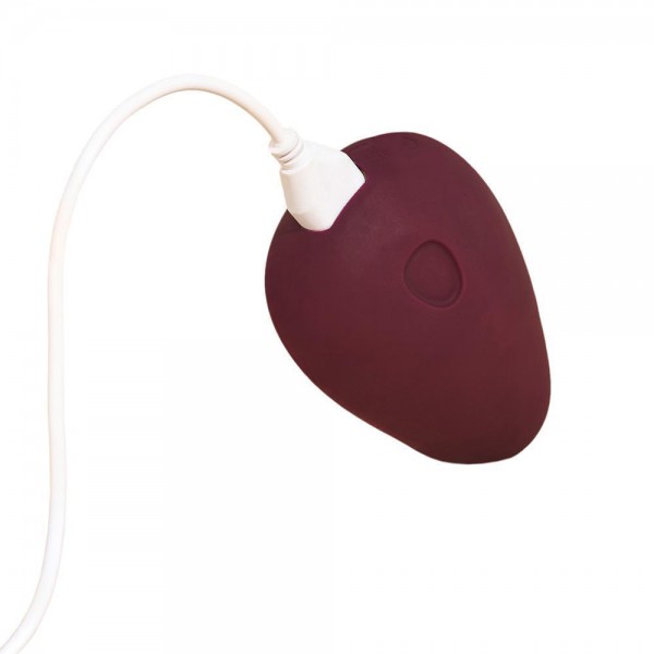 Dame Pom Silicone External Stimulator