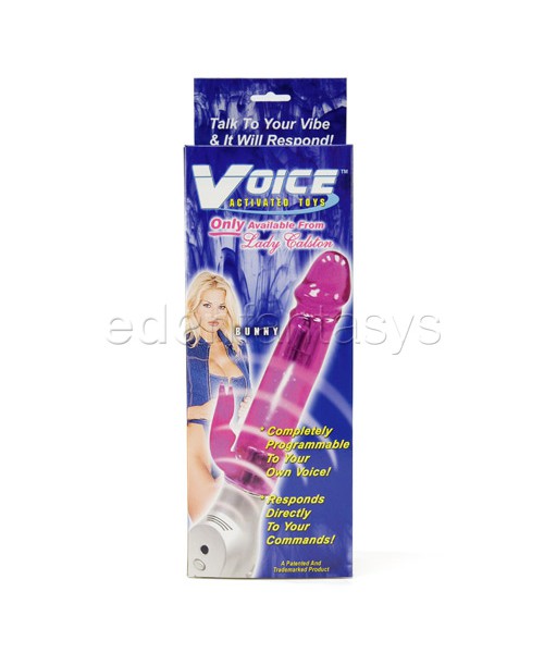 Voice activated rabbit