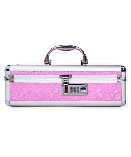 Lockable sex toy case
