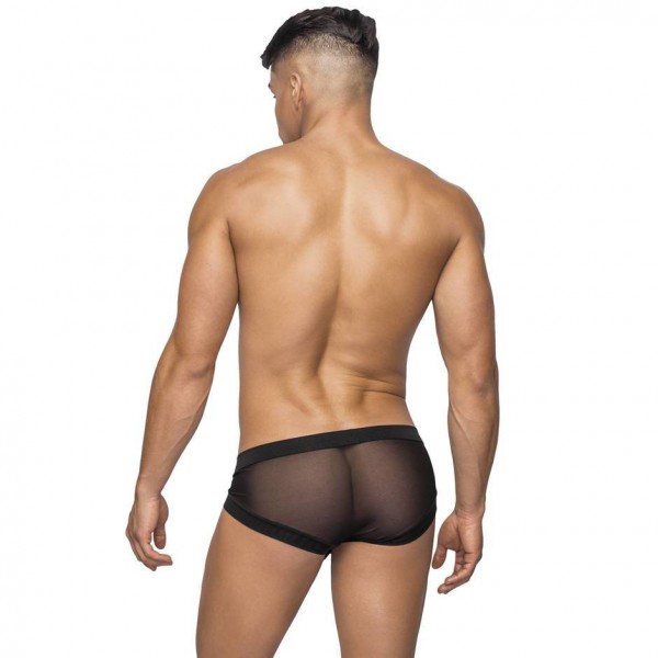 Male Power Sheer Hose Boxer Shorts