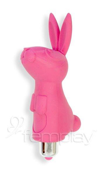 Ramsey Rabbit Bullet Vibrator - Pink