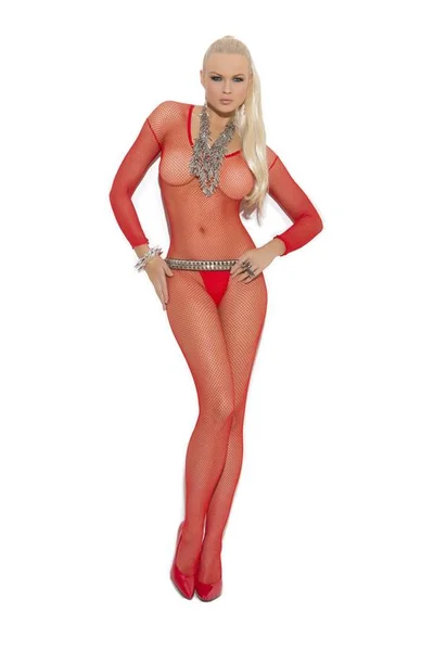 Fishnet Long Sleeve Bodystocking - One Size and Queen Available — image 7 of 9