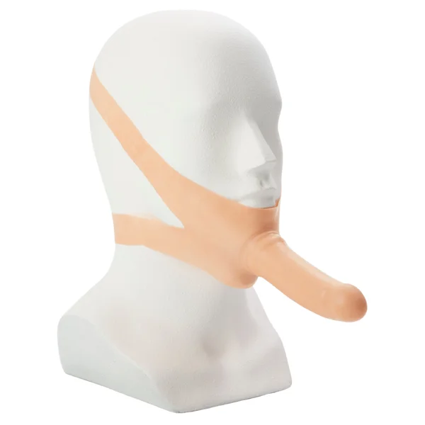 The Accommodator (Oral Stimulator) — image 14 of 16