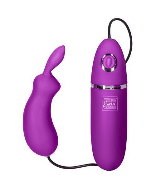 Remote Control Bounding Bunny