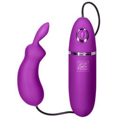 Remote Control Bounding Bunny
