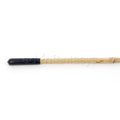 Bamboo cane