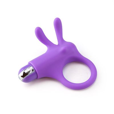 Raving rabbit
