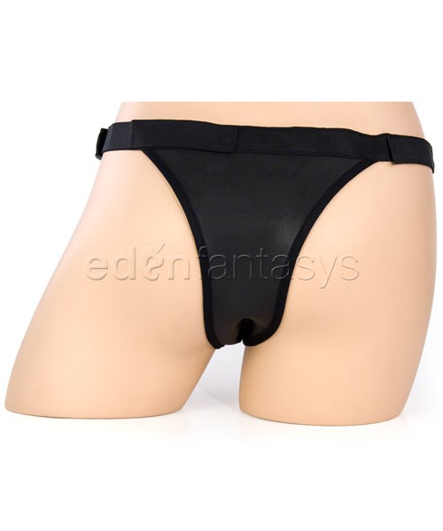 Penthouse powerlock harness