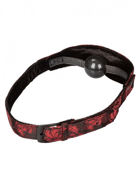 Scandal Hidden Pleasure Ball Gag