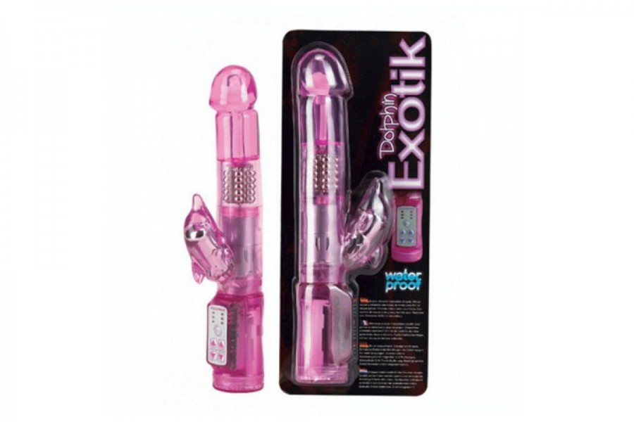 Dolphin Exotik Vibe