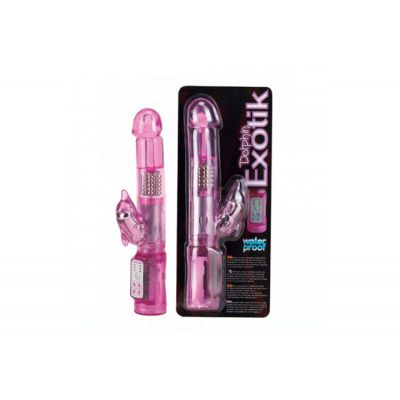 Dolphin Exotik Vibe