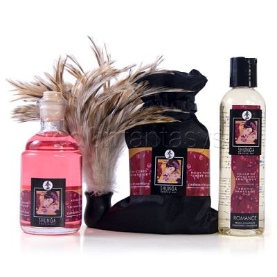 Shunga tenderness and passion collection