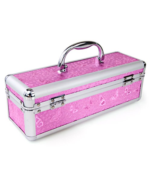 Lockable sex toy case