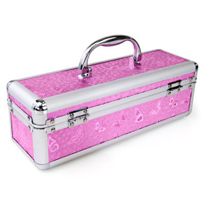 Lockable sex toy case