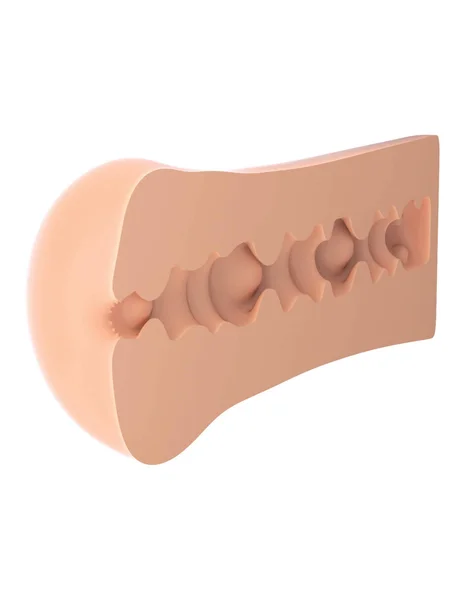 Fuck Me Silly To Go Tight Ass | Ultra Real Anal Masturbator for Men by Pipedream — image 10 of 16