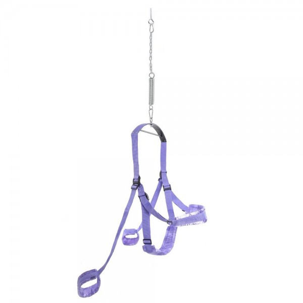 Fetish Fantasy Sex Swing