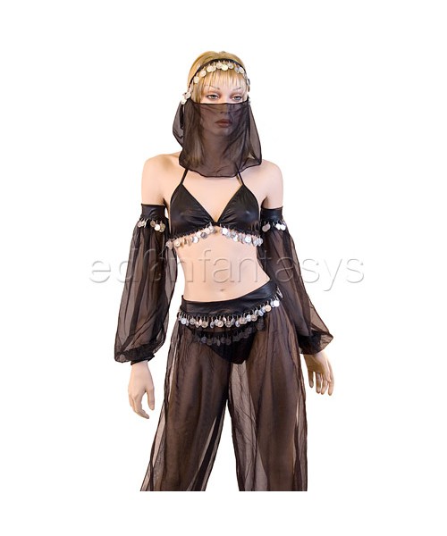 Arabian dancer costume