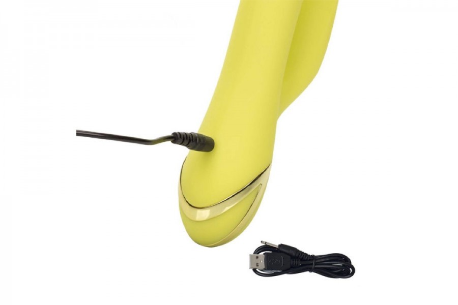 California Dreaming Venice Vixen Rabbit