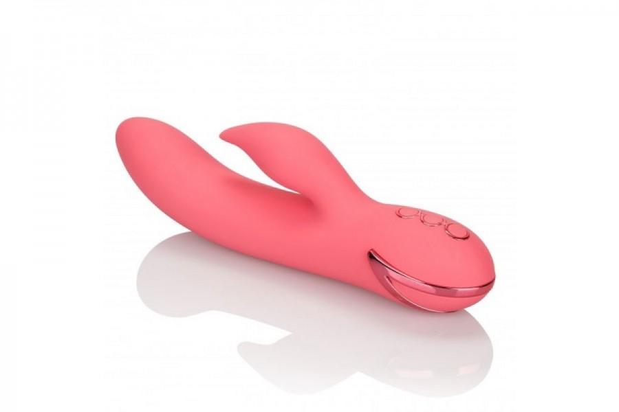 California Dreaming San Francisco Sweetheart Rabbit