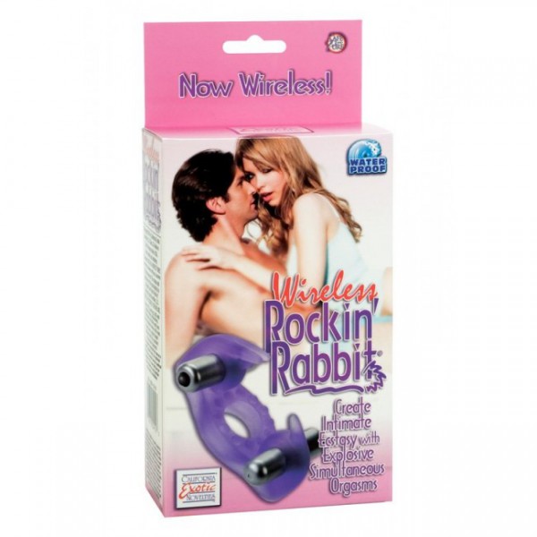 Wireless Rockin Rabbit