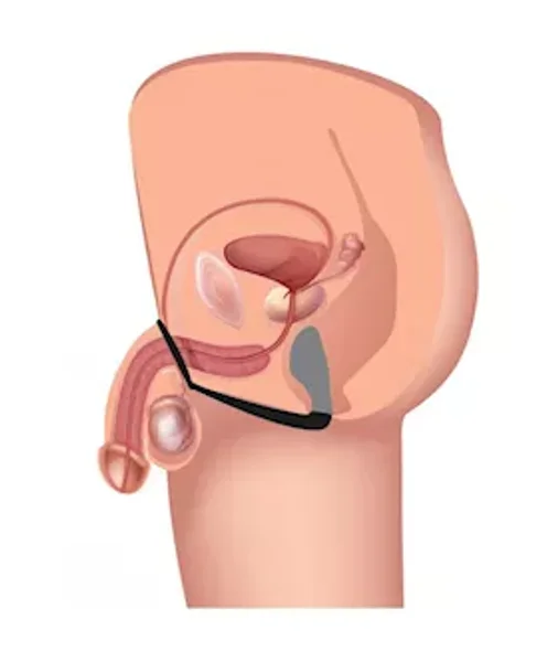 Explorer Ii Prostate Stimulator And Cock Ring - Black — image 10 of 10