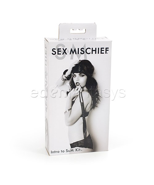Sex and Mischief Intro to S&M Kit