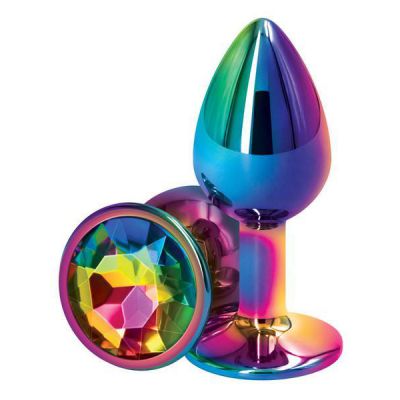 Rear Assets Multicolour Small BUTT PLUG