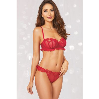 Dreamgirl Jubilee Venice Lace Mesh Bra with Cheeky Panty