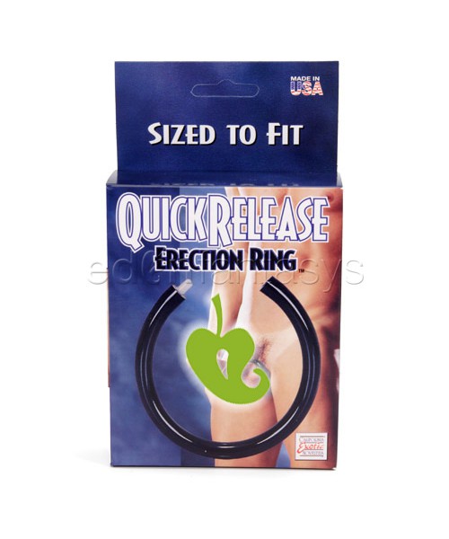 Quick release erection ring