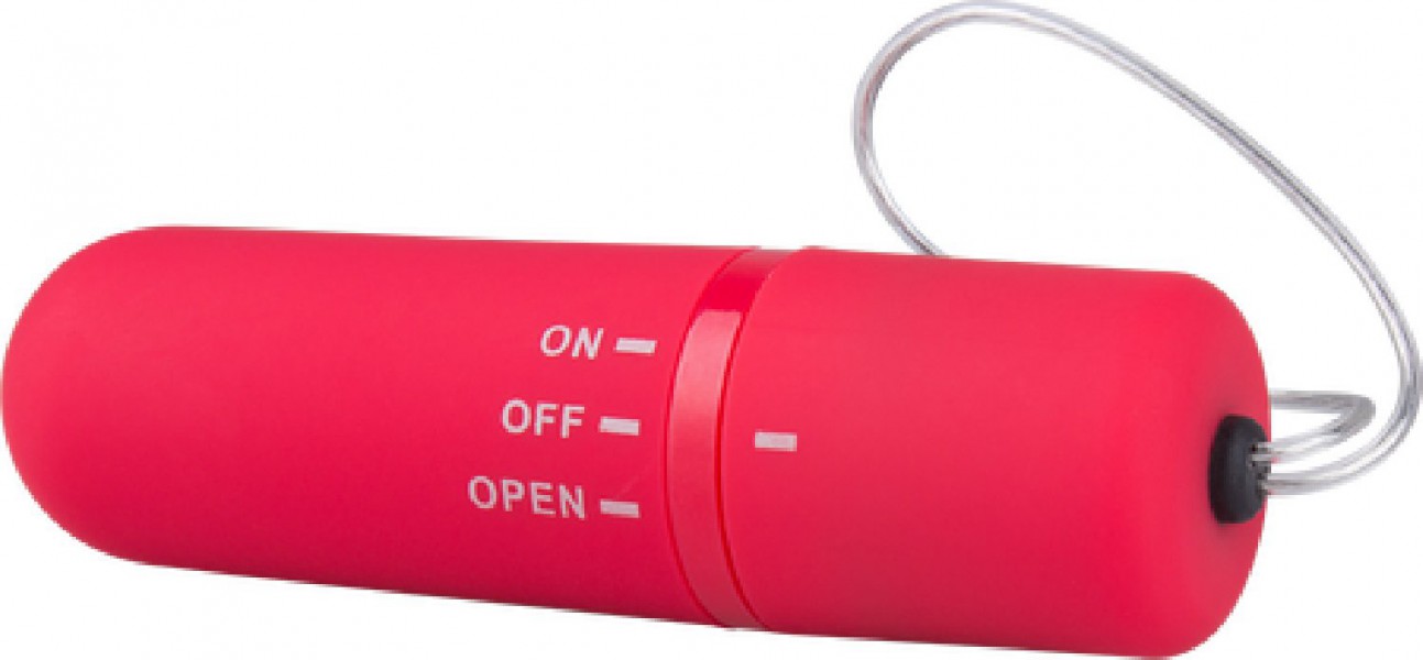 Vibrating Panty Set (Red)