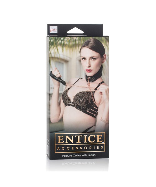 Entice Posture Collar with Leash