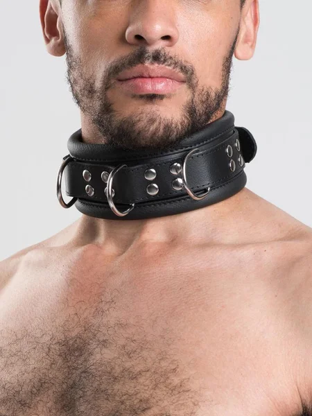 DOMINIX Deluxe Heavy Leather Collar — image 13 of 13