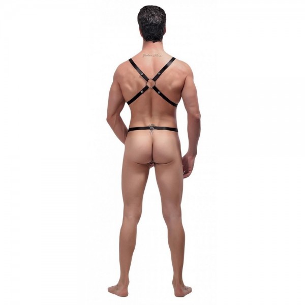 Male Power Rip Off Harness Set