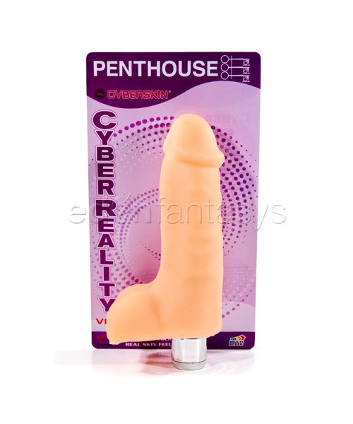 Penthouse cyber reality vibe