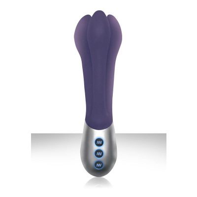 Infinit Rechargeable Massager Plum