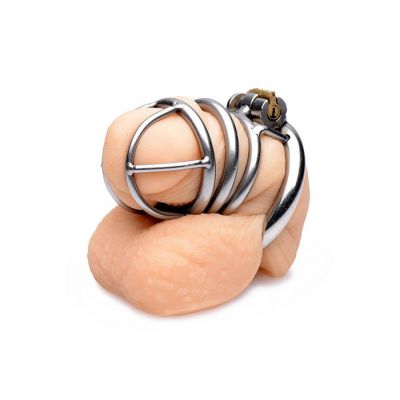 The Pen Deluxe Locking Chastity Cage
