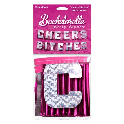 Bachelorette Party Cheers Bitches Party Banner