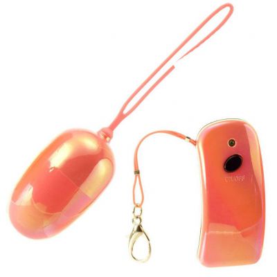 Remote Controlled Vibrating Egg