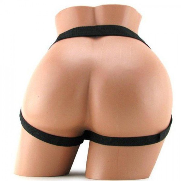 Universal harness