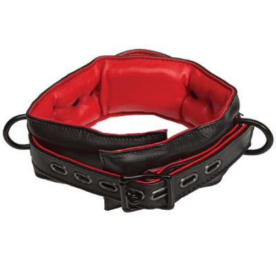 Leather Handler s Collar