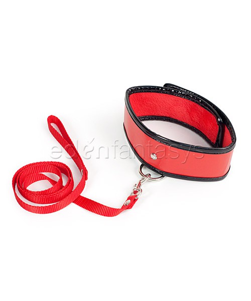 Sex and Mischief leash and collar