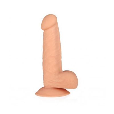 DIX realistic 6 assorted colors