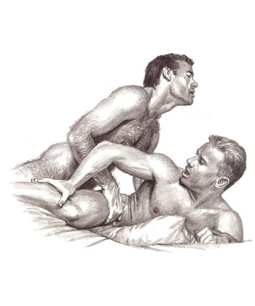 Gay Mans Kama Sutra