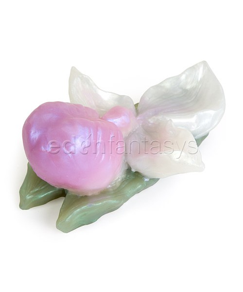 Orchid — image 4 of 5